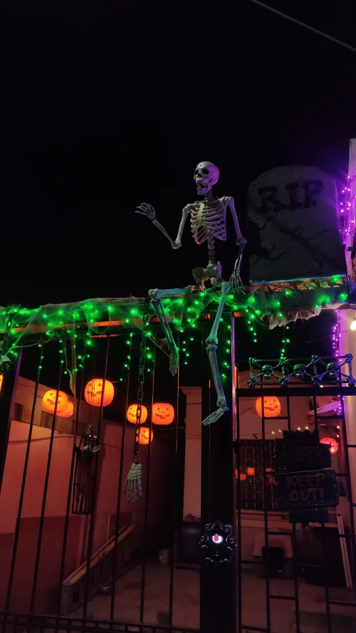 Se escaparon del Panteón 💀🦴