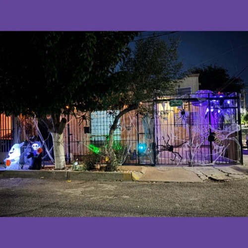 Casa de las arañas 🕸️🕷️