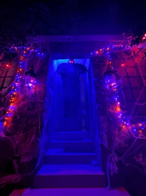 Casa de las Arañas 🕷️🕸️