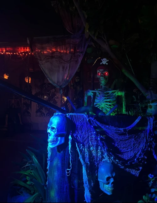 🏴‍☠️☠️ Pirates of the Darkness ☠️🏴‍☠️